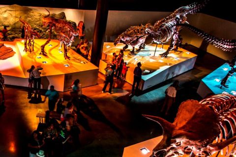 Houston: 1-Day or 3-Day Museum Pass