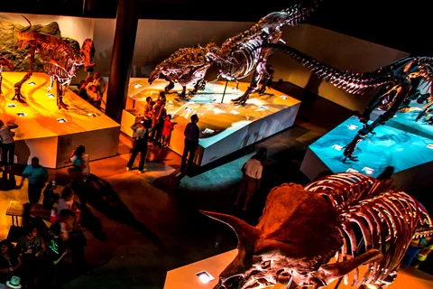 Houston: passe de museu de 1 ou 3 dias