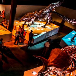 Houston: 1-Day or 3-Day Museum Pass