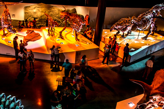 Multi-day Tours and Trips from Houston, Texas