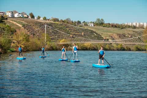 Stuttgart: Stand-Up Paddleboarding Beginner Class