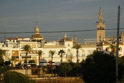 Seville: 2.5-Hour Evening Electric Bike Tour