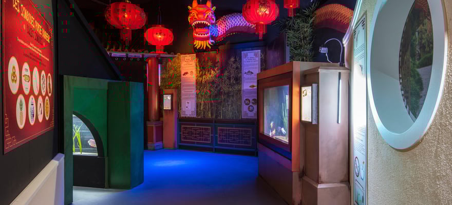 Sena y Marne Tickets de entrada lo MEJOR de 2024 Cancelación GRATIS