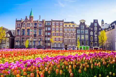 amsterdam 2hour guided walking tour