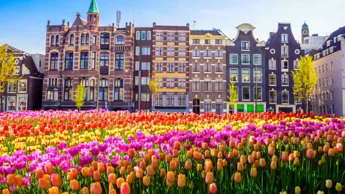 amsterdam 2hour guided walking tour