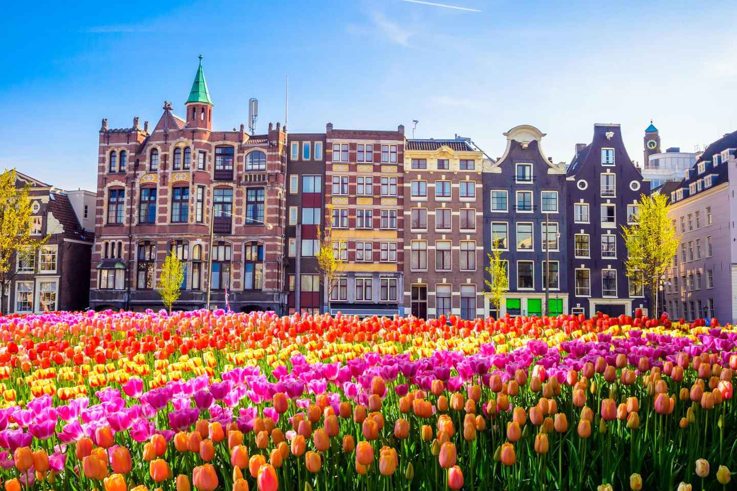 Depuis Bruxelles : Excursion à Amsterdam et Croisière sur les Canaux
