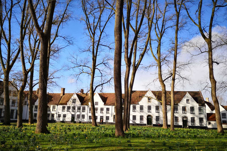 Depuis Amsterdam : excursion d’un jour à Bruges en espagnol