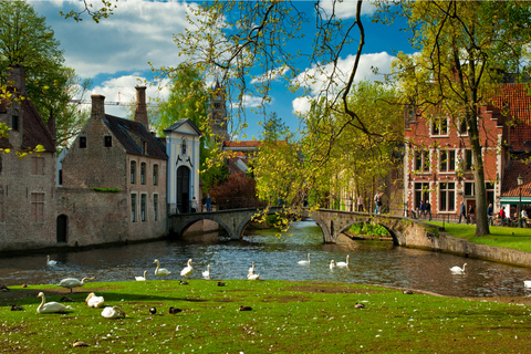 From Amsterdam: Day Trip to Bruges in Spanish