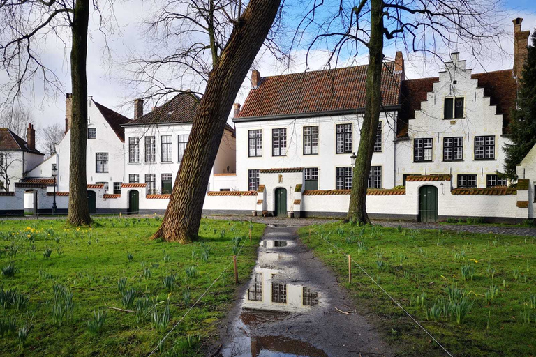 Desde Ámsterdam: excursión guiada de 12 h a Brujas