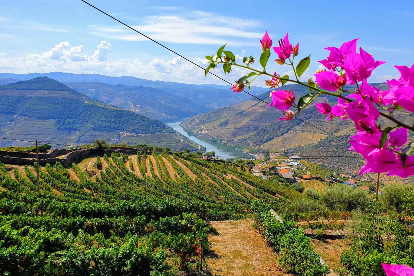 Ab Porto: Douro-Tal-Tour mit Weinprobe, Lunch und Bootsfahrt