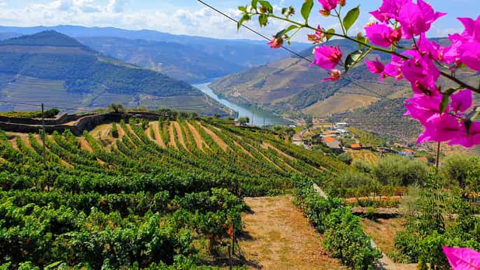 douro valley excursion with wine tasting lunch cruise