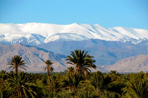 From Ouarzazate: Private 2-Day Merzouga Desert Tour