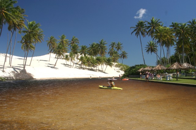 Visit Natal Perobas and Punau Beach Day Trip with Snorkeling in Natal, Brasil
