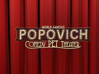 Las Vegas: 75-Minuten Popovich-Comedy-Haustier-Theater Las Vegas: 75-Minuten Popovich-Comedy-Haustier-Theater