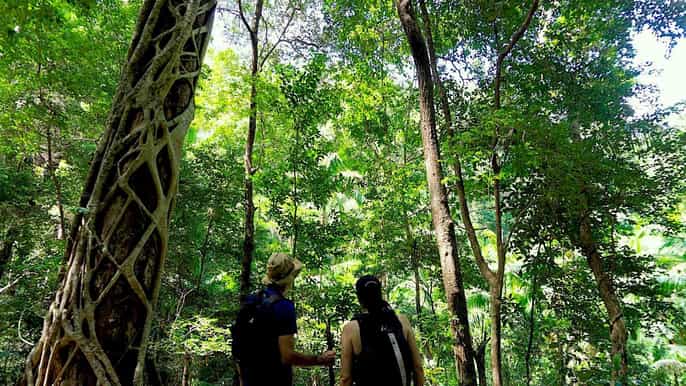 fraser island 1night packfree camping rainforest ecohike