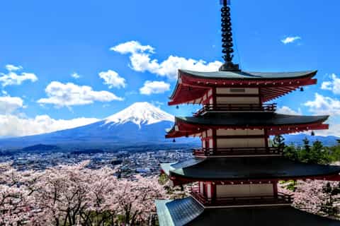Mt. Fuji & Hakone: 1 Tag private Tour mit Fahrer