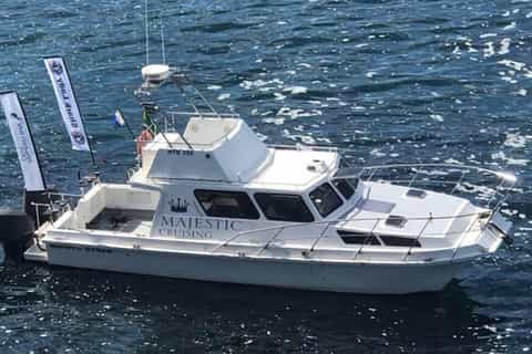 Hermanus: Walker Bay Coastline Cruise