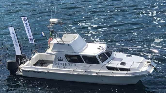 hermanus walker bay coastline cruise