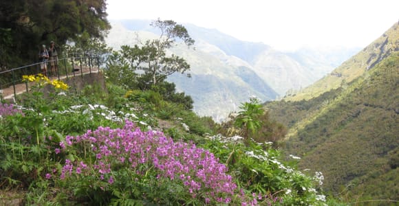 Madeira: Guided Full-Day Rabaçal Walk