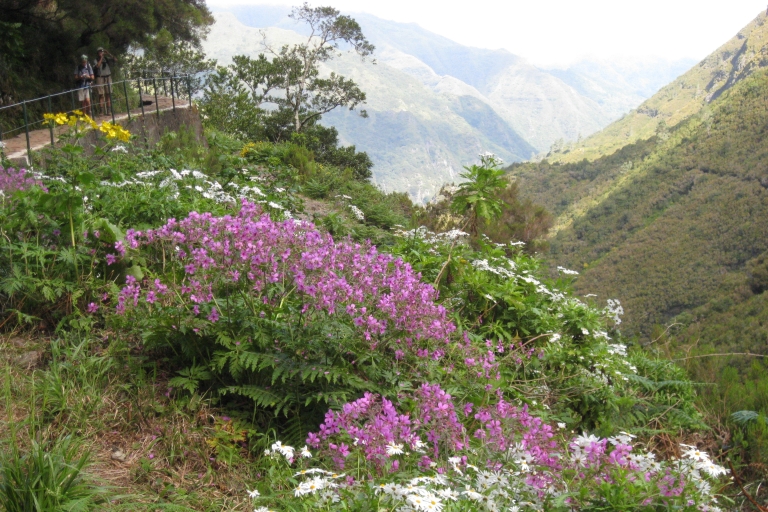 Madeira: Guided Full-Day Rabaçal Walk