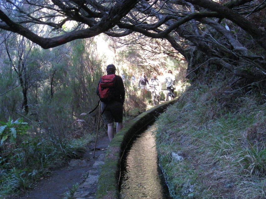 Madeira Begeleide Raba Al Wandeling Van Een Hele Dag Getyourguide