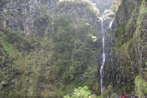 Madeira: Guided Full-Day Rabaçal Walk