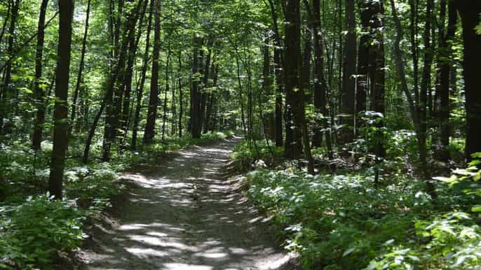 from lviv skole beskids national park private hiking tour