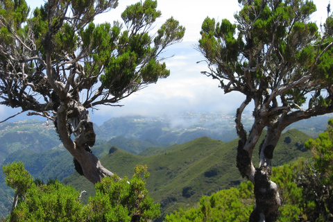 Madeira: Teixeira-wandeling van een hele dag