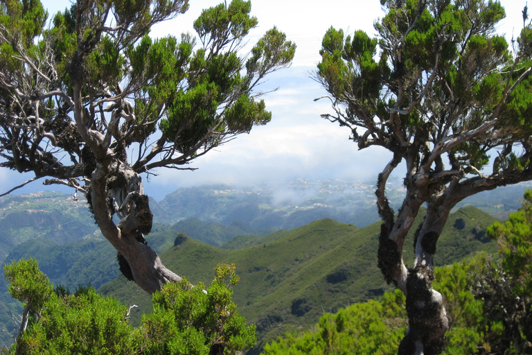 Madeira: Teixeira-wandeling van een hele dag
