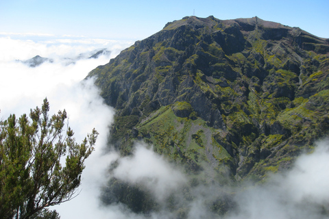 Madeira: Teixeira-wandeling van een hele dag