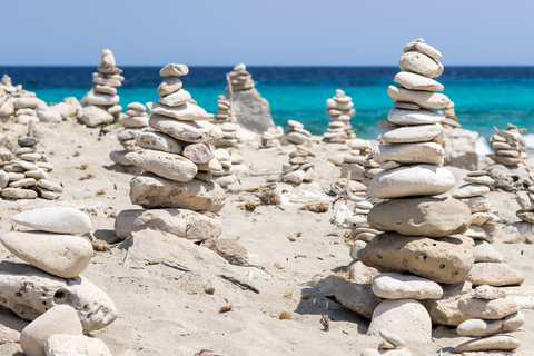 Formentera: crociera in catamarano da Ibiza con pasto e bevandeEscursione mattutina con brunch