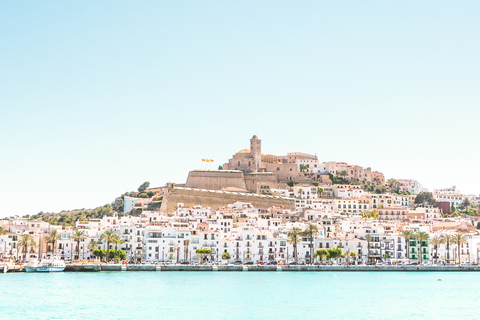 Ibiza: Katamaran-Kreuzfahrt nach Formentera mit Mahlzeit und GetränkenTour am Morgen mit Brunch