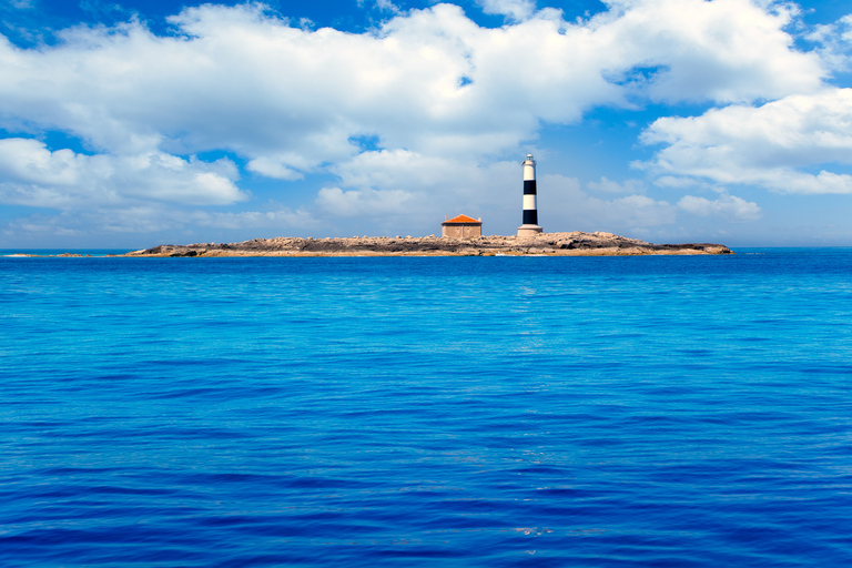 Formentera: crociera in catamarano da Ibiza con pasto e bevandeEscursione mattutina con brunch