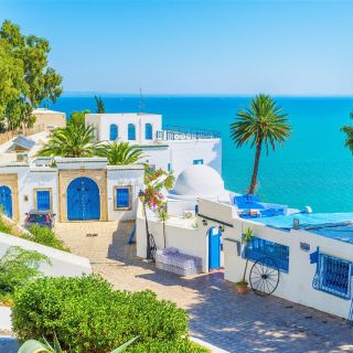 From Hammamet: Day Trip to Sidi Bou Saïd and Carthage