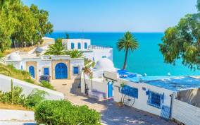 From Hammamet: Day Trip to Sidi Bou Saïd and Carthage