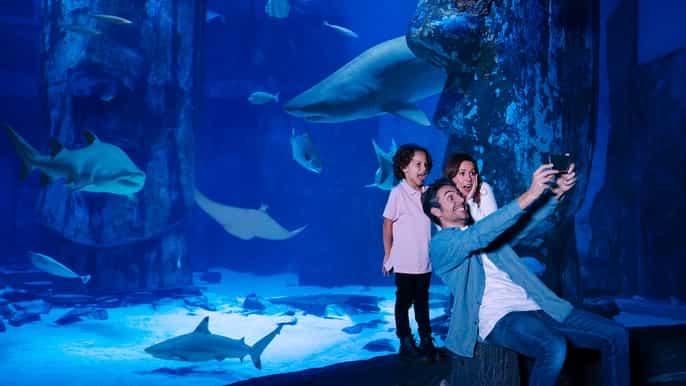 sea life london entrance ticket