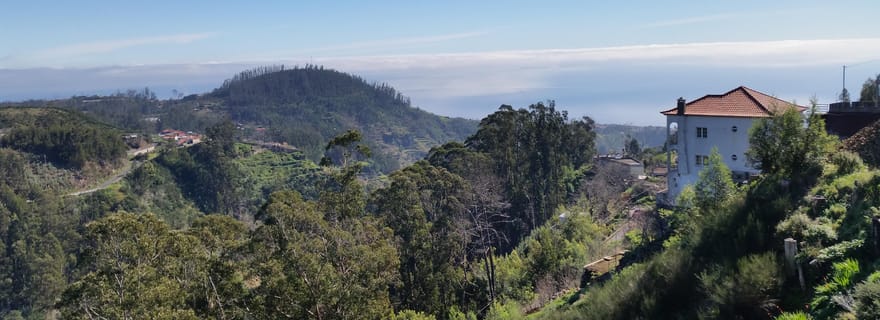 Randonnée matinale d'une demi-journée à Paradise Valley.