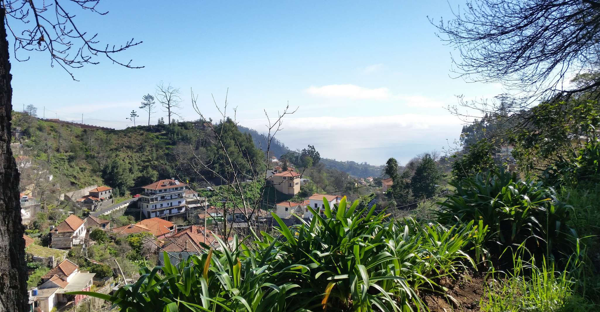 Paradise Valley yarım günlük sabah yürüyüşü. - Hizvo