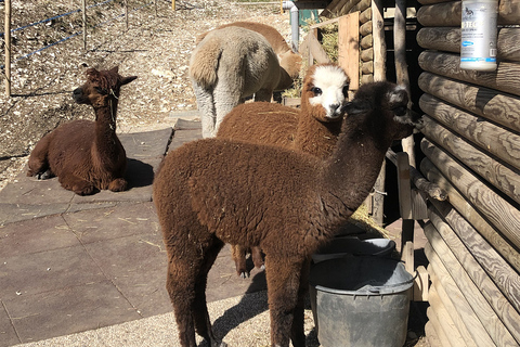 Verona: Madonna della Corona Sanctuary Walking Tour