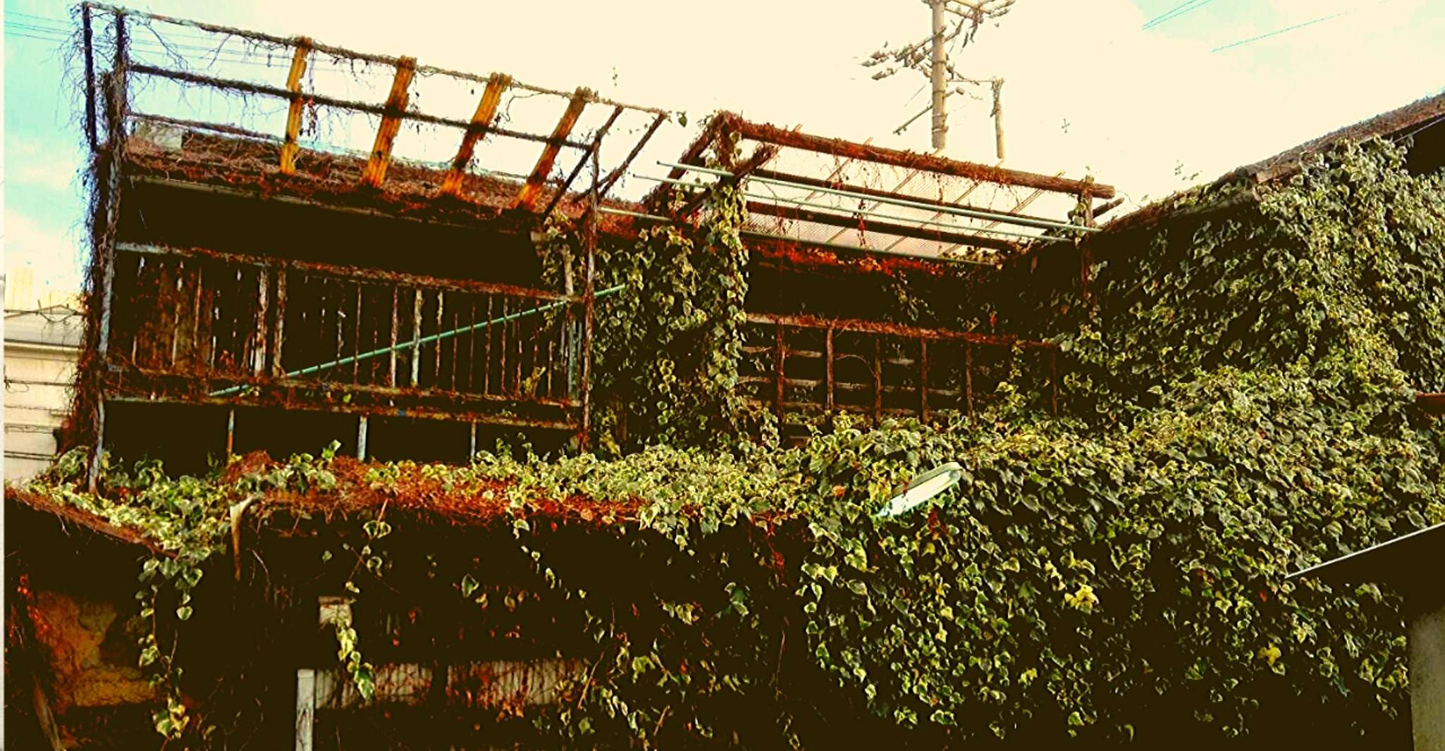 Osaka: Deep Backstreets Walking Tour with Dinner Option photo 5