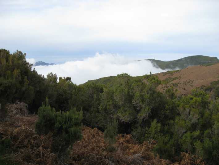 Levada do Alecrim (Madeira Lakes) Full-day walk