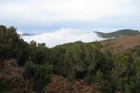 Levada do Alecrim (Madeira-Seen) Ganztägige WanderungStandard Option