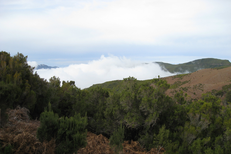 Levada do Alecrim (Lacs de Madère) Randonnée d'une journéeOption standard