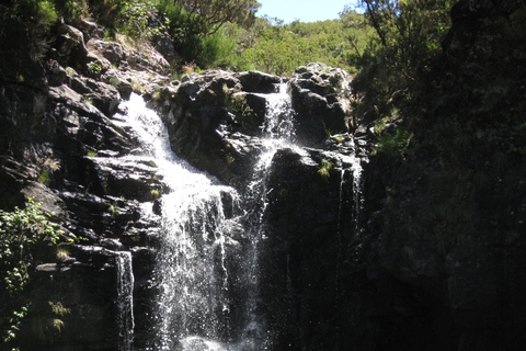 Levada do Alecrim (Lacs de Madère) Randonnée d'une journéeOption standard