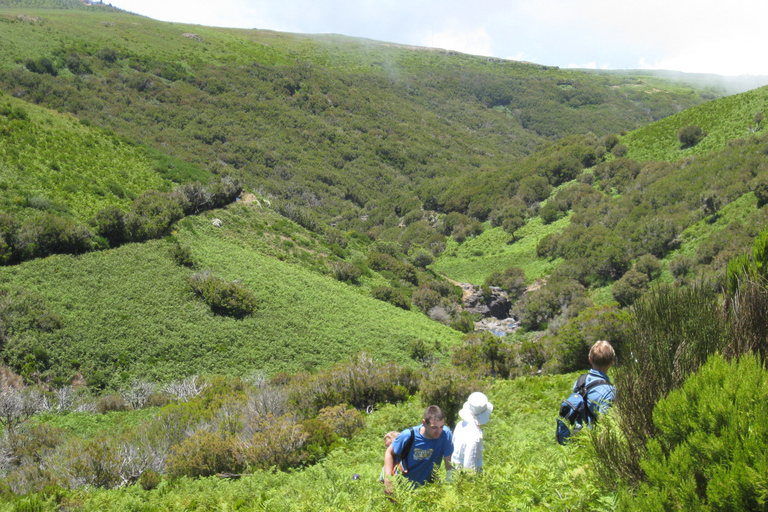 Levada do Alecrim (Lacs de Madère) Randonnée d'une journéeOption standard