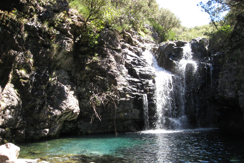 Levada do Alecrim (Meren van Madeira) DagwandelingStandaard Optie