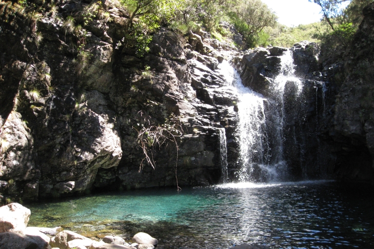 Levada do Alecrim (Madeira-Seen) Ganztägige WanderungStandard Option
