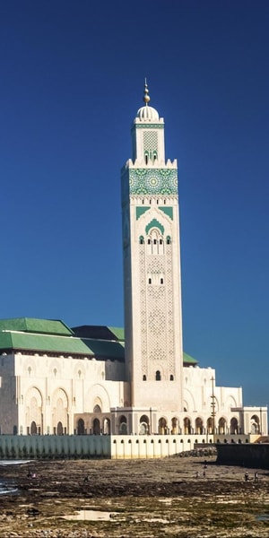 カサブランカ乗り継ぎハイライト：ガイド付きツアーと送迎 | GetYourGuide