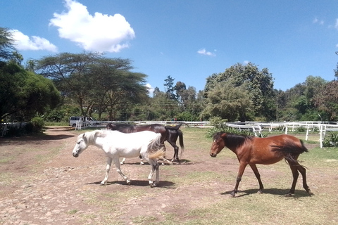 Paardrijtochtavontuur in Nairobi
