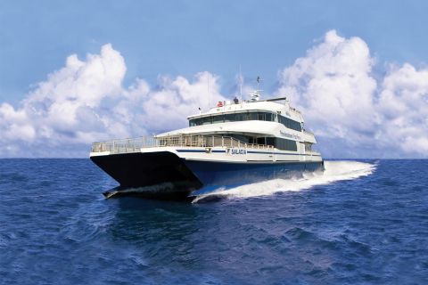 Cape Cod Fast Ferry from Boston: One-Way or Round Trip